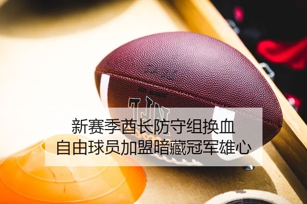 新赛季酋长防守组换血 自由球员加盟暗藏冠军雄心